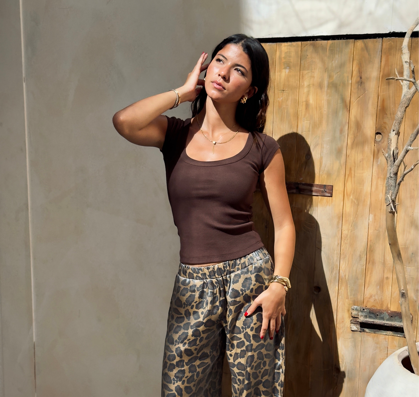 Brown Princess Top