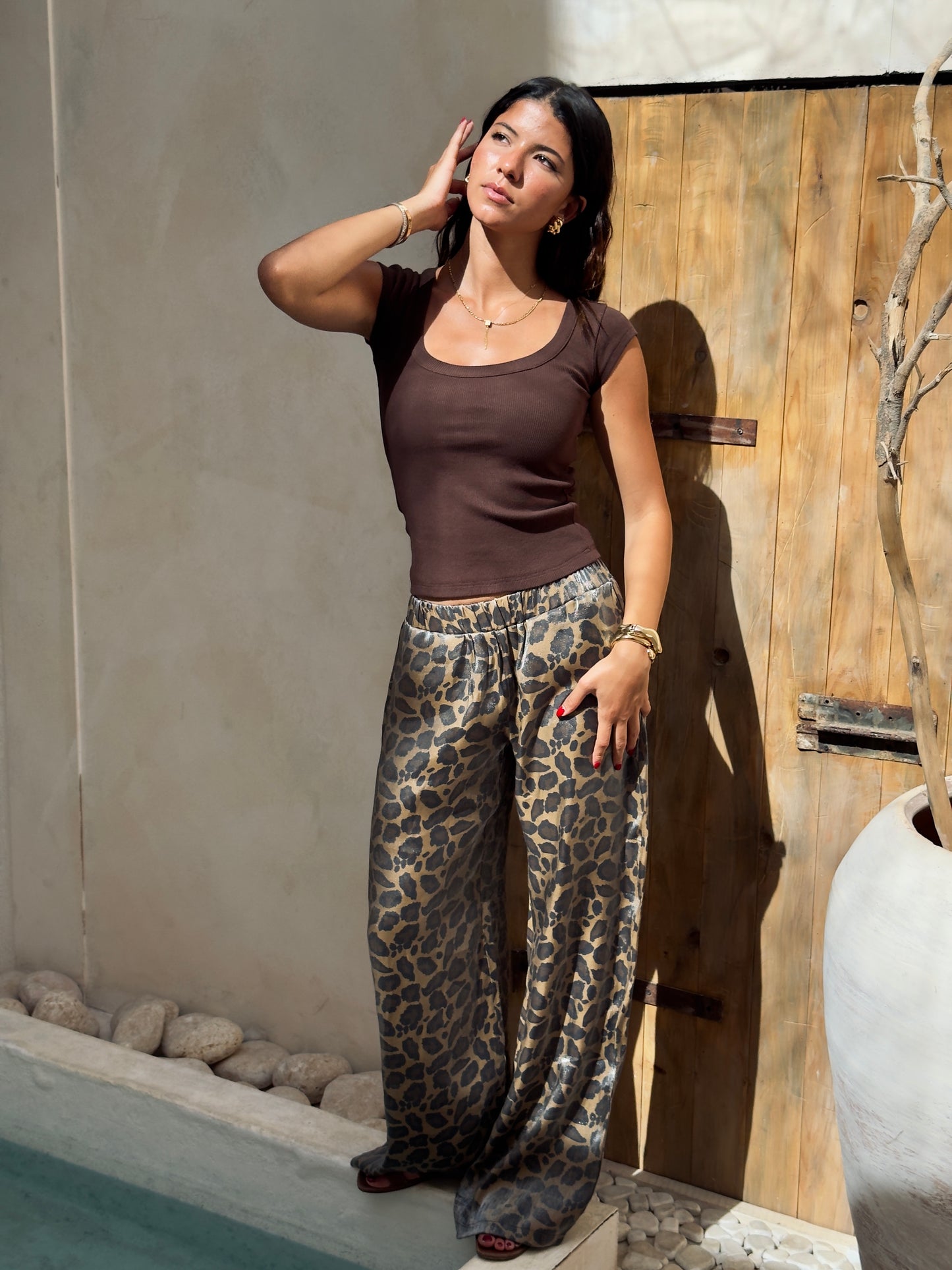 Brown Princess Top
